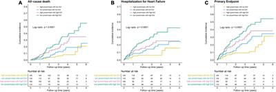 Prognostic significance of resting cardiac power to left ventricular mass and E/e’ ratio in heart failure with preserved ejection fraction